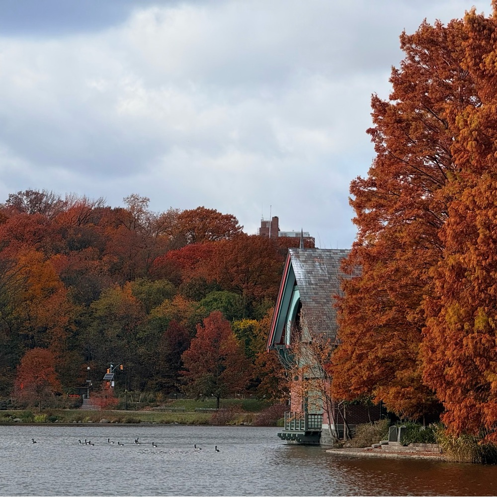 Meet your Posher, Adji